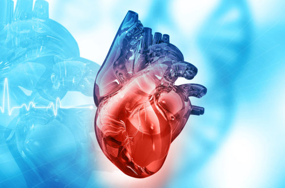 heart web